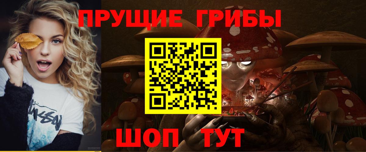 Псилоцибиновые грибы MAGIC MUSHROOMS  Вход с VPN  где купить наркотик  Томск 